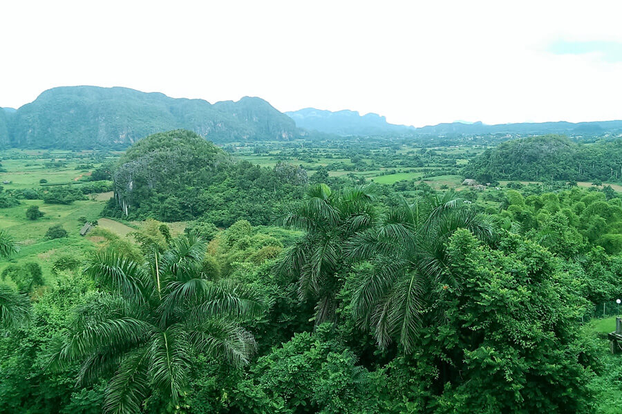 Vinales Vinales